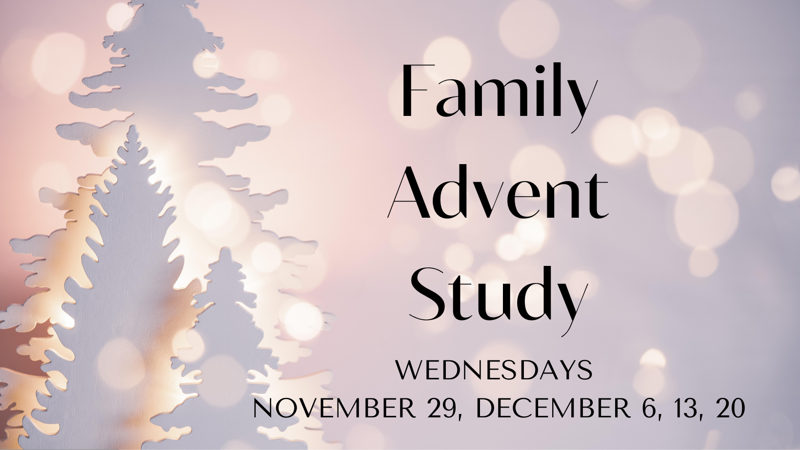 Family Advent Study